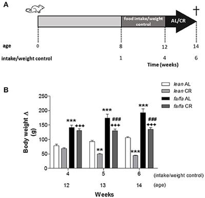 Mild and Short-Term Caloric Restriction Prevents Obesity-Induced Cardiomyopathy in Young Zucker Rats without Changing in Metabolites and Fatty Acids Cardiac Profile